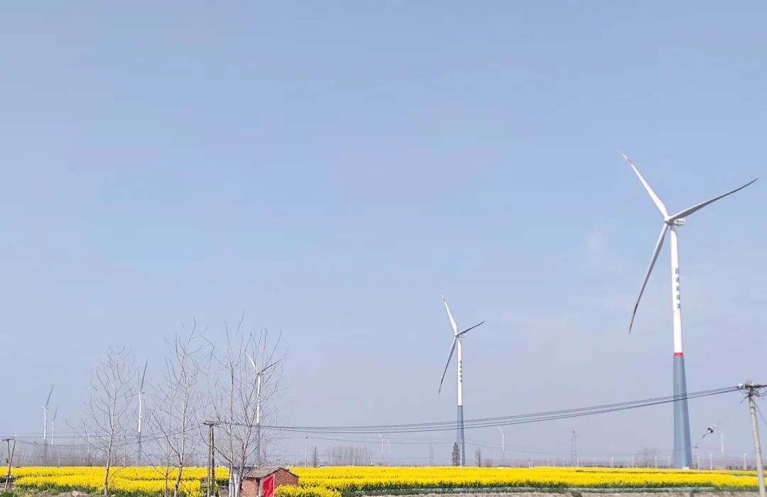 微信图片_20210329134540.jpg